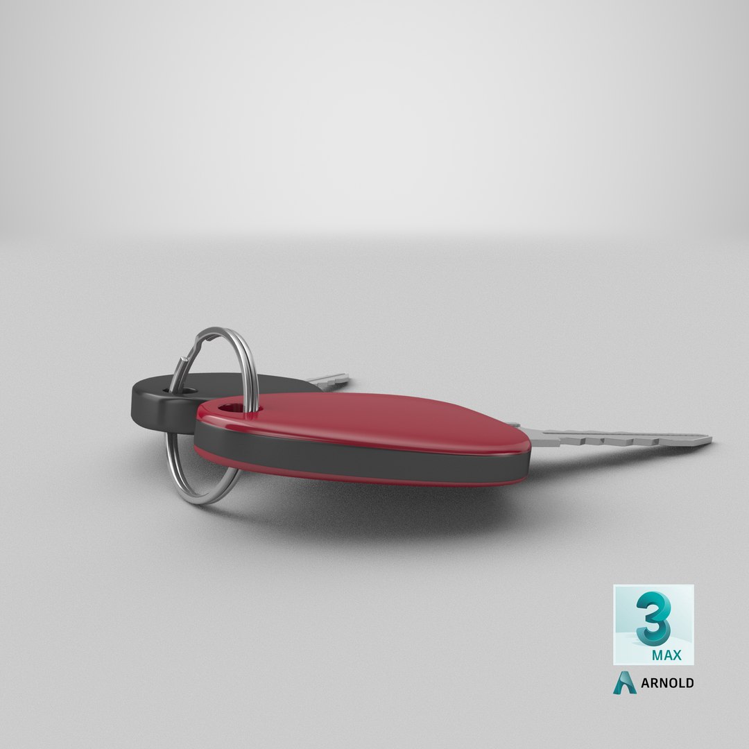 3D model Keys https://p.turbosquid.com/ts-thumb/pt/TShmXi/1j/stemcell_max_arnold_render/png/1627720697/1920x1080/fit_q87/eb35d07d84129d0bb86a5643fdc39e514651eb47/stemcell_max_arnold_render.jpg