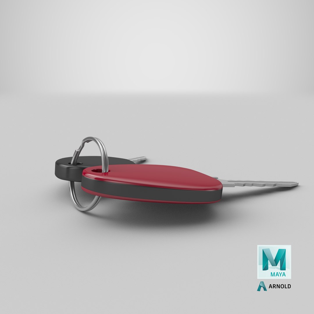 3D model Keys https://p.turbosquid.com/ts-thumb/pt/TShmXi/3H/stemcell_maya_arnold_render/png/1627720701/1920x1080/fit_q87/0142bfd9a5a68c94b54d07b6f9fcad94a6bf51c3/stemcell_maya_arnold_render.jpg