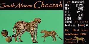 Southern African Cheetah Cat