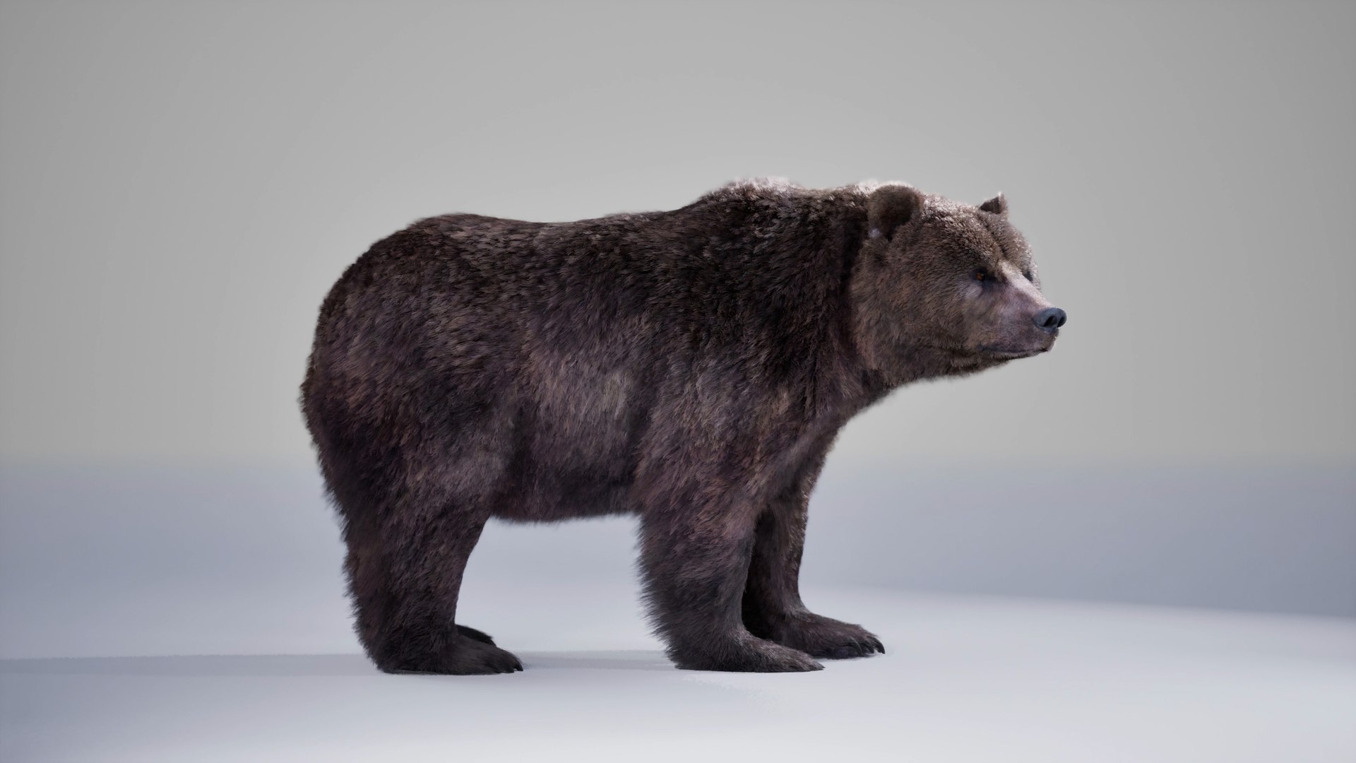 Bear Rig UNREAL project plus Maya base rig 3D https://p.turbosquid.com/ts-thumb/pt/eZh40G/fm/05/jpg/1737260356/1920x1080/fit_q87/007b9b65c6787edc47e9bed985716432a5b6ed6b/05.jpg
