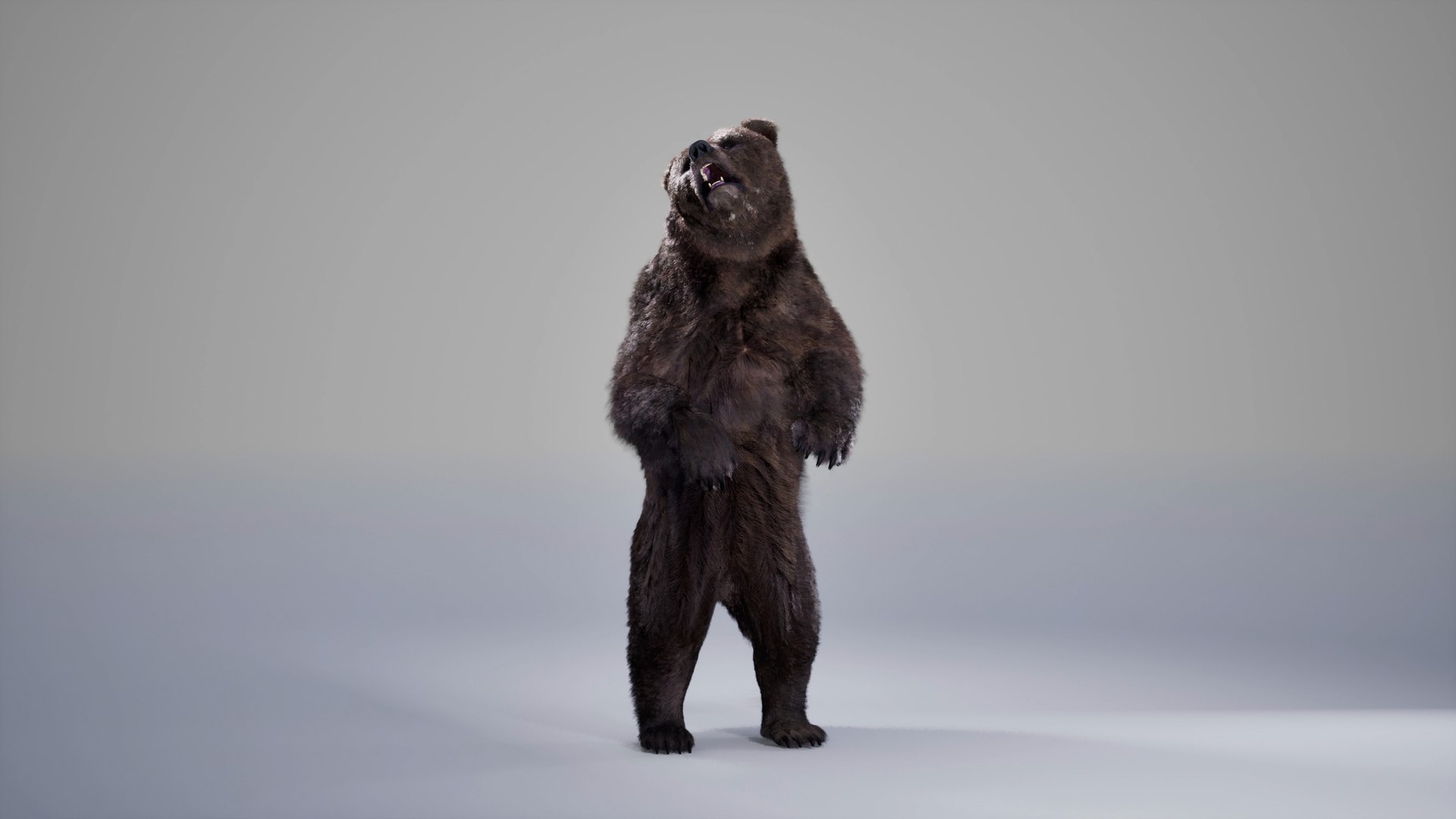 Bear Rig UNREAL project plus Maya base rig 3D https://p.turbosquid.com/ts-thumb/pt/eZh40G/jK/06/jpg/1737260356/1920x1080/fit_q87/26db481bd60687f7171d3480b75a44e694a01090/06.jpg