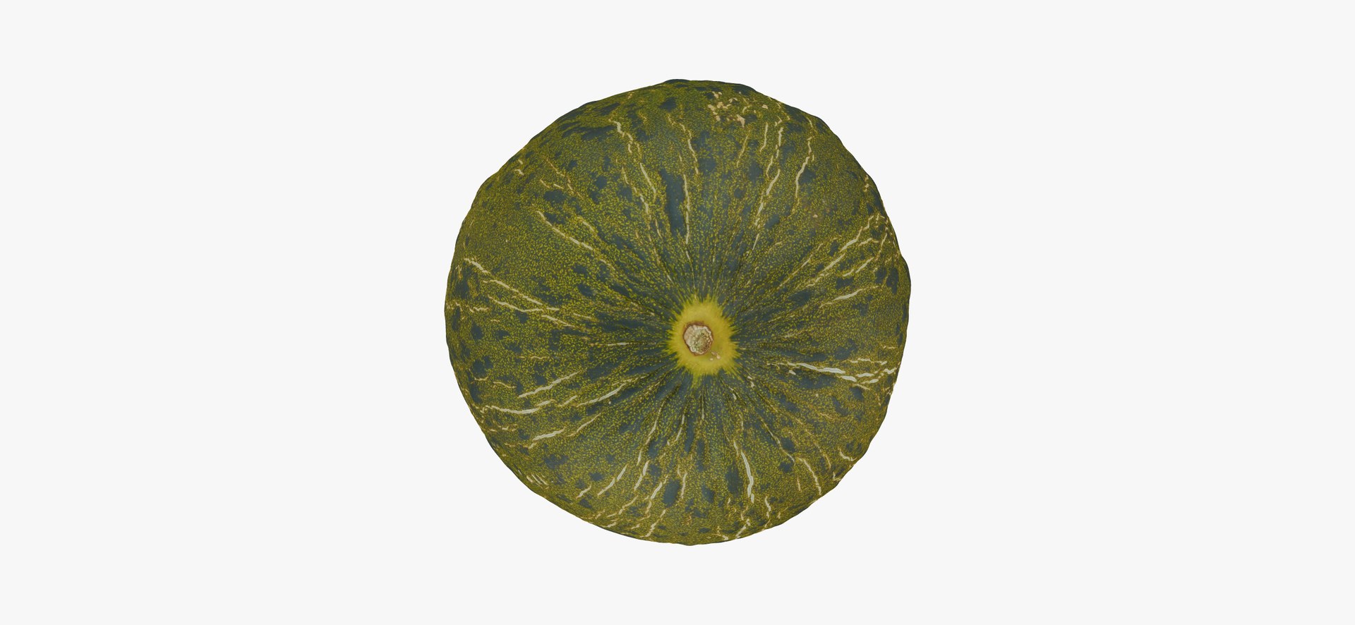 melon piel sapo 01 model https://p.turbosquid.com/ts-thumb/pt/fYnJHQ/6K5Ac3HK/melon_piel_de_sapo_01_thumbnail_07/jpg/1602489610/1920x1080/fit_q87/c97738cc26f8d40bb9127c10196d193b0969c411/melon_piel_de_sapo_01_thumbnail_07.jpg