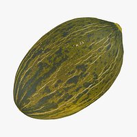 Melon Piel De Sapo 01 RAW Scan