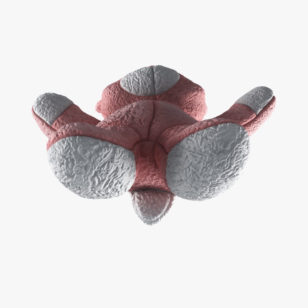 materials 3d model https://p.turbosquid.com/ts-thumb/pt/iid7i1/Lxt8titz/03/jpg/1385326613/1920x1080/fit_q87/6f3700d19fb7161c40f1ad787b5b11a09526f3a5/03.jpg