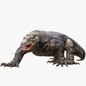 Komodo Dragon Detailed Rigged PBR