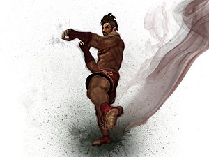 3d model of street fighter