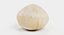 Macadamia Nut