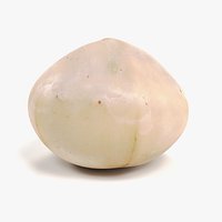 Macadamia Nut