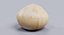 Macadamia Nut