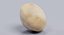 Macadamia Nut