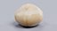 Macadamia Nut