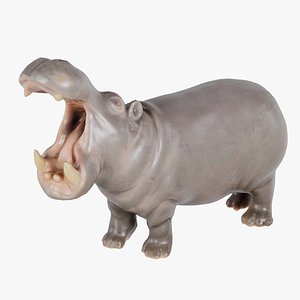 3D Hippo Remastered model