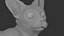 Sphynx Cat