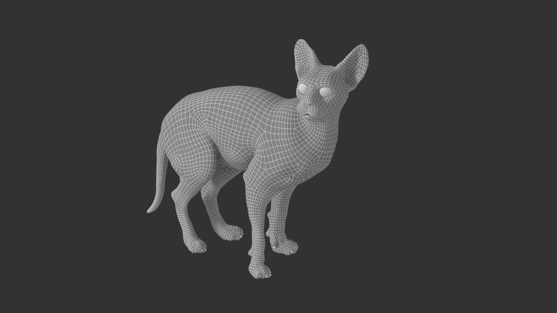 3D Sphynx Cat https://p.turbosquid.com/ts-thumb/pu/RnSgLc/9d/sphynx_cat_wired02/png/1719424387/1920x1080/fit_q87/e39650e4c372f1e043ace1759d6e6ce98ddeffb2/sphynx_cat_wired02.jpg