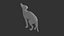 Sphynx Cat