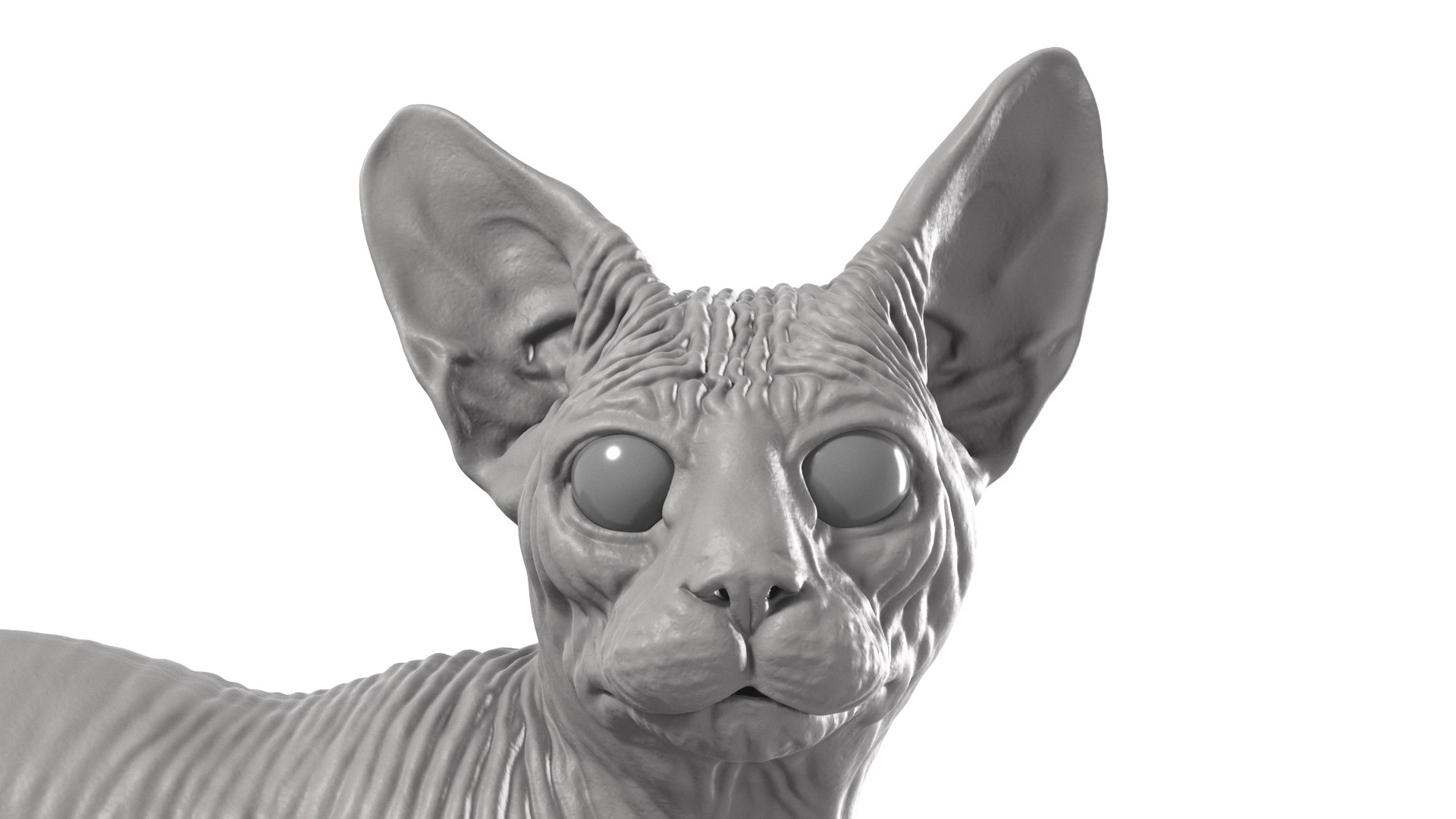 3D Sphynx Cat https://p.turbosquid.com/ts-thumb/pu/RnSgLc/K9/sphynx_cat_camera07b/png/1719500058/1920x1080/fit_q87/0bf49735bfb721ec75588e9236e5f4e07e23cd27/sphynx_cat_camera07b.jpg