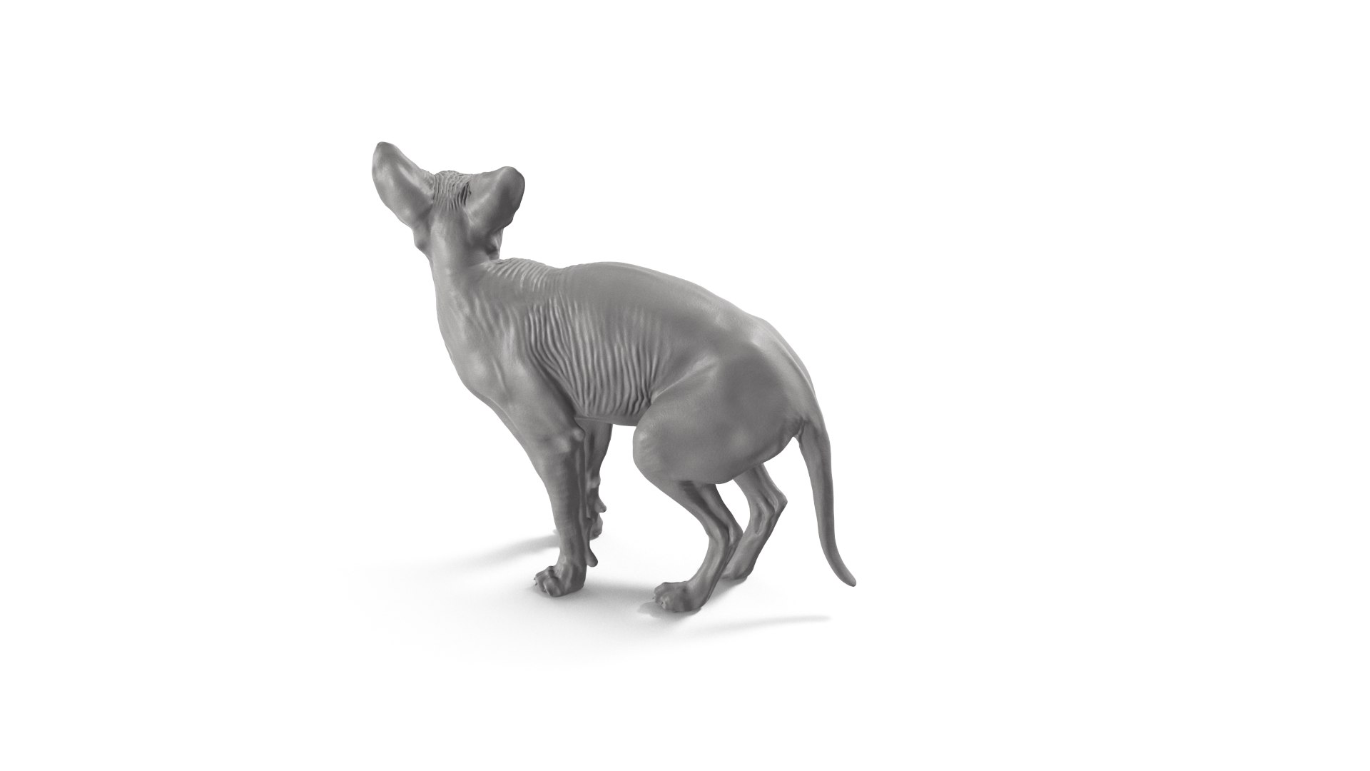 3D Sphynx Cat https://p.turbosquid.com/ts-thumb/pu/RnSgLc/LH/sphynx_cat_camera06b/png/1719500058/1920x1080/fit_q87/78f98dc3f8a3ee91d951c09d5fed62c4c881a7c0/sphynx_cat_camera06b.jpg