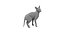 Sphynx Cat