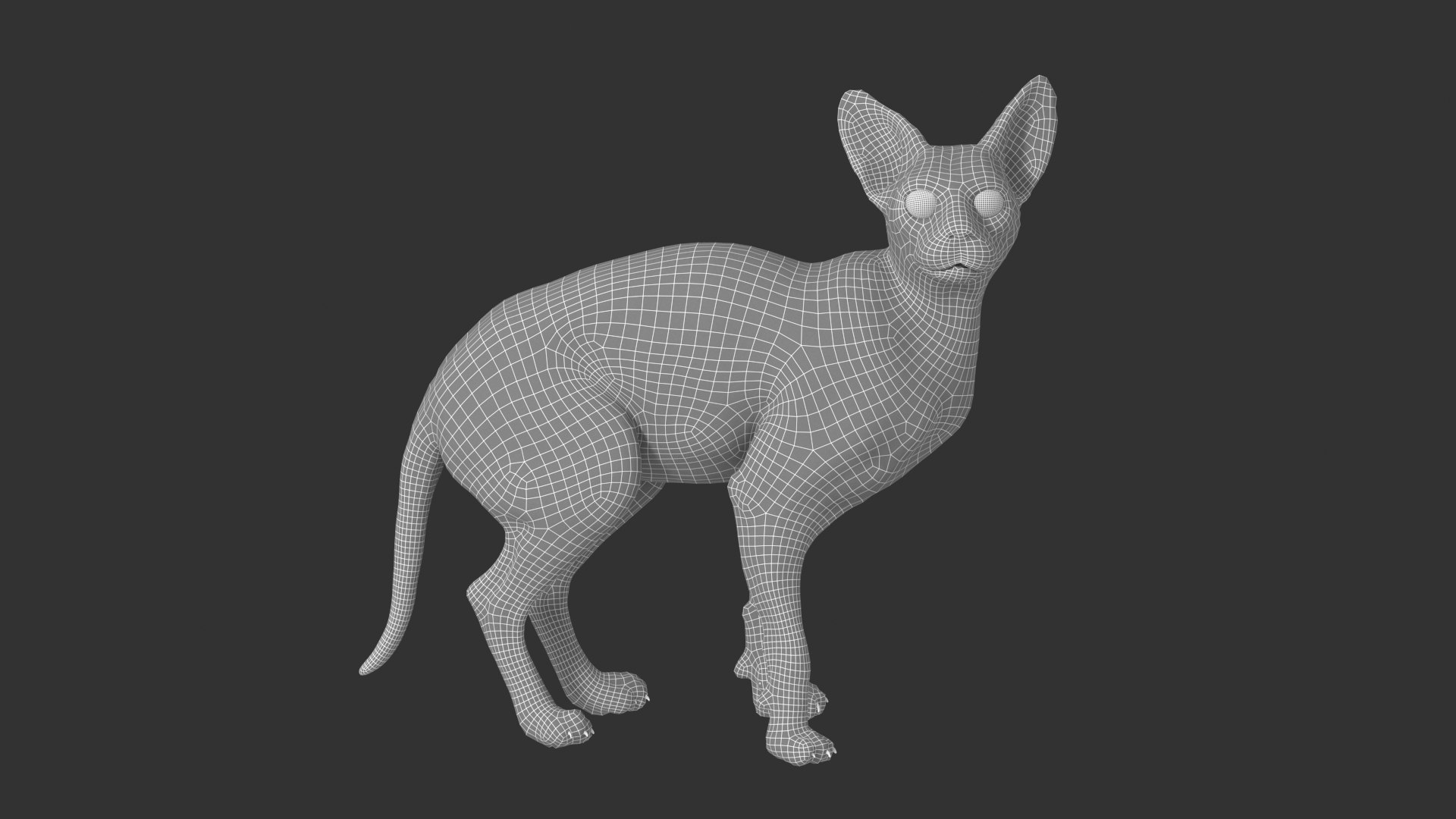 3D Sphynx Cat https://p.turbosquid.com/ts-thumb/pu/RnSgLc/lf/sphynx_cat_wired01/png/1719424386/1920x1080/fit_q87/ac3dcd3d7aa50e9ecb5efcd395c404ab3ec3e3c7/sphynx_cat_wired01.jpg