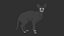 Sphynx Cat