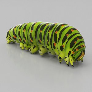 3D model Caterpillar Crawling Animated Rigged for Maya