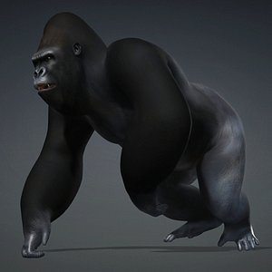 3D model Gorilla-A1