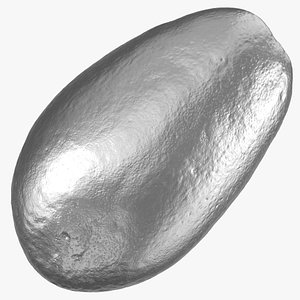 3D bacon avocado 01 silver