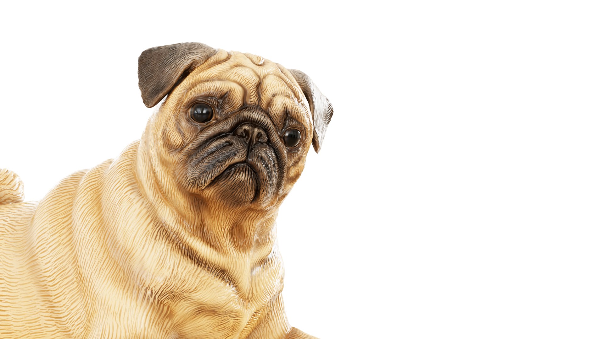 3D Pug figurine in a funny lying pose model https://p.turbosquid.com/ts-thumb/pu/ofQg6m/TD/v_04/jpg/1727457360/1920x1080/fit_q87/69018f3029da5889a9b5f1e99879462a7feff196/v_04.jpg