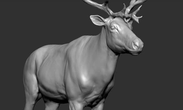 modelo 3d Reno - TurboSquid 1404301