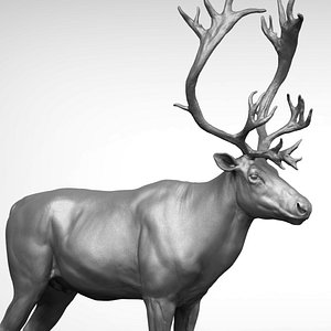 3D reindeer zbrush model
