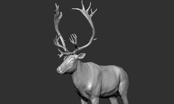 modelo 3d Reno - TurboSquid 1404301