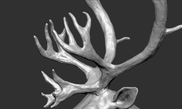 modelo 3d Reno - TurboSquid 1404301