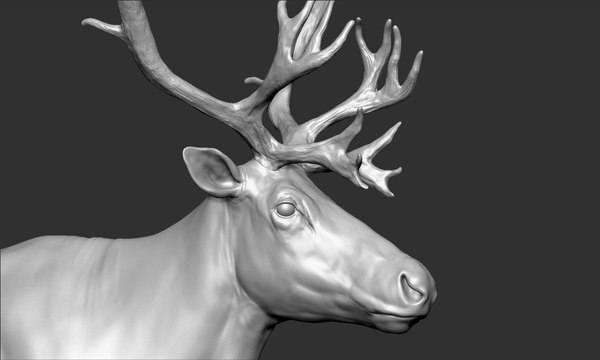 modelo 3d Reno - TurboSquid 1404301