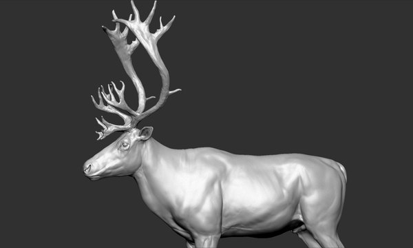 modelo 3d Reno - TurboSquid 1404301