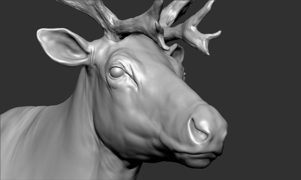 modelo 3d Reno - TurboSquid 1404301
