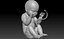embryo fetus human 3D model