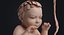 embryo fetus human 3D model