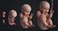 embryo fetus human 3D model