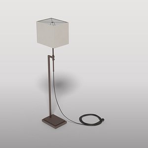 Contemporary Floor Lamp