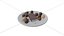 Chocolate and Pralines Plate