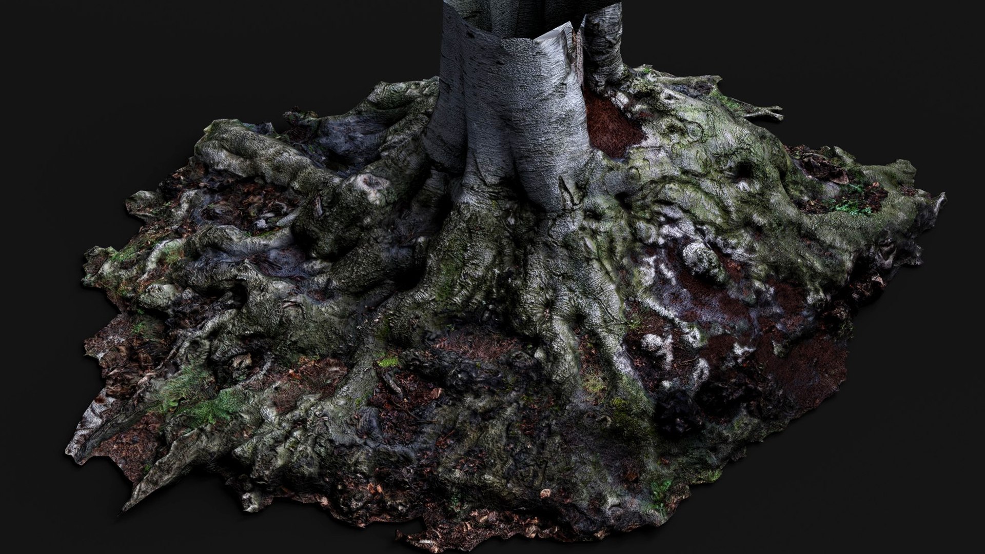 3D Wide Roots Large Tree Stump PBR Photogrammetry Model - TurboSquid ...