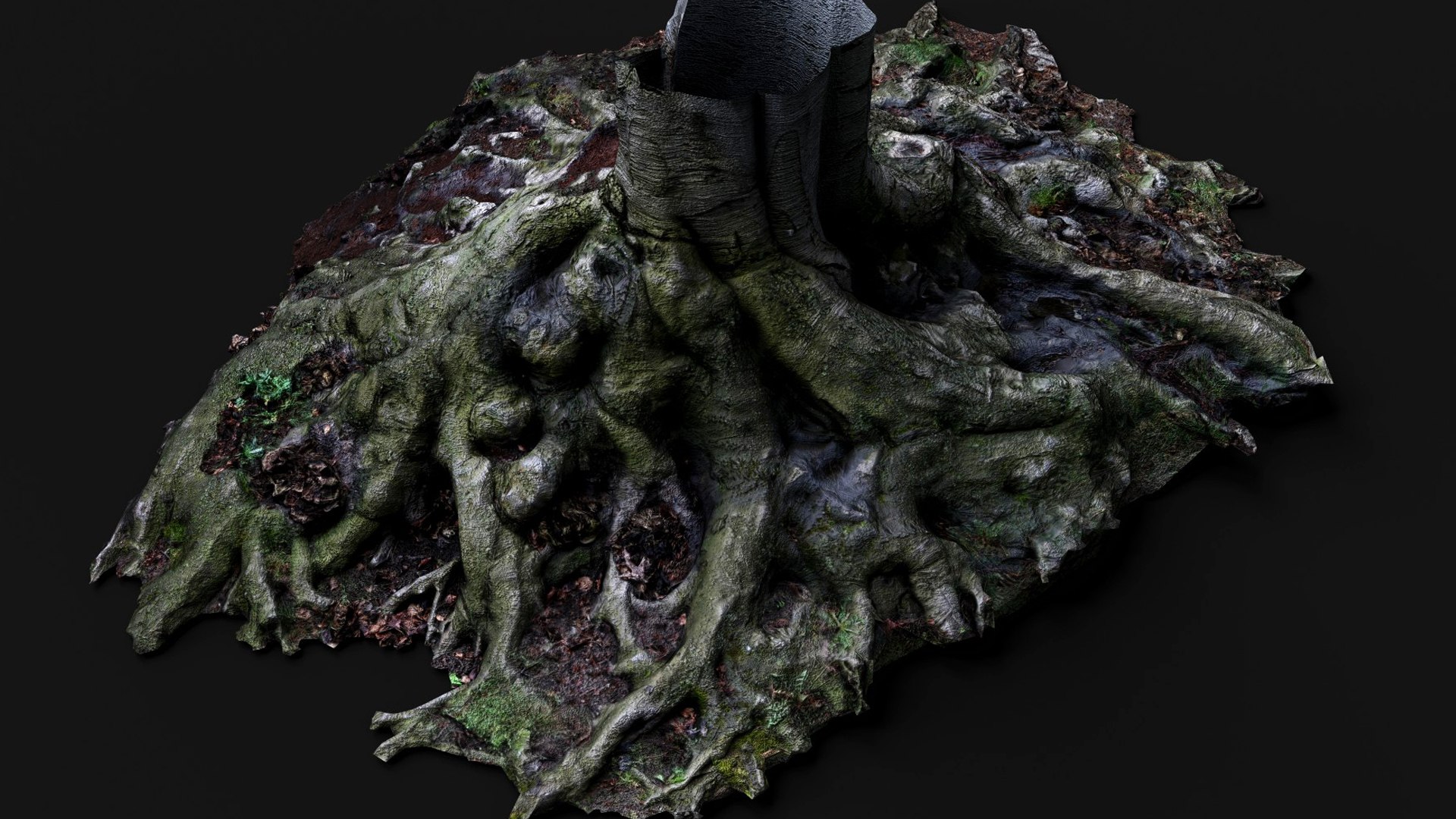 3D Wide Roots Large Tree Stump PBR Photogrammetry Model - TurboSquid ...