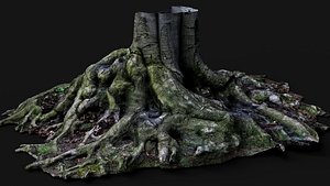 wide roots large tree stump PBR photogrammetry