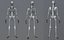 Lowpoly Human Skeleton Rigged