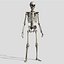 Lowpoly Human Skeleton Rigged