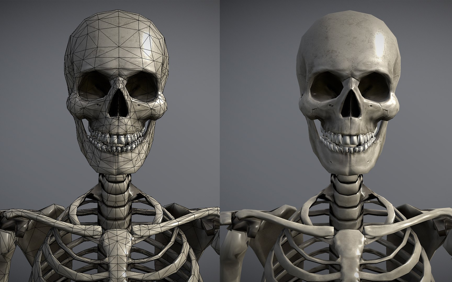 3D Lowpoly Human Skeleton Rigged model https://p.turbosquid.com/ts-thumb/pv/HtObTJ/Ho/w2/jpg/1654430442/1920x1080/fit_q87/65cd9c4476ff83949deaec2407e1864822c3fc52/w2.jpg