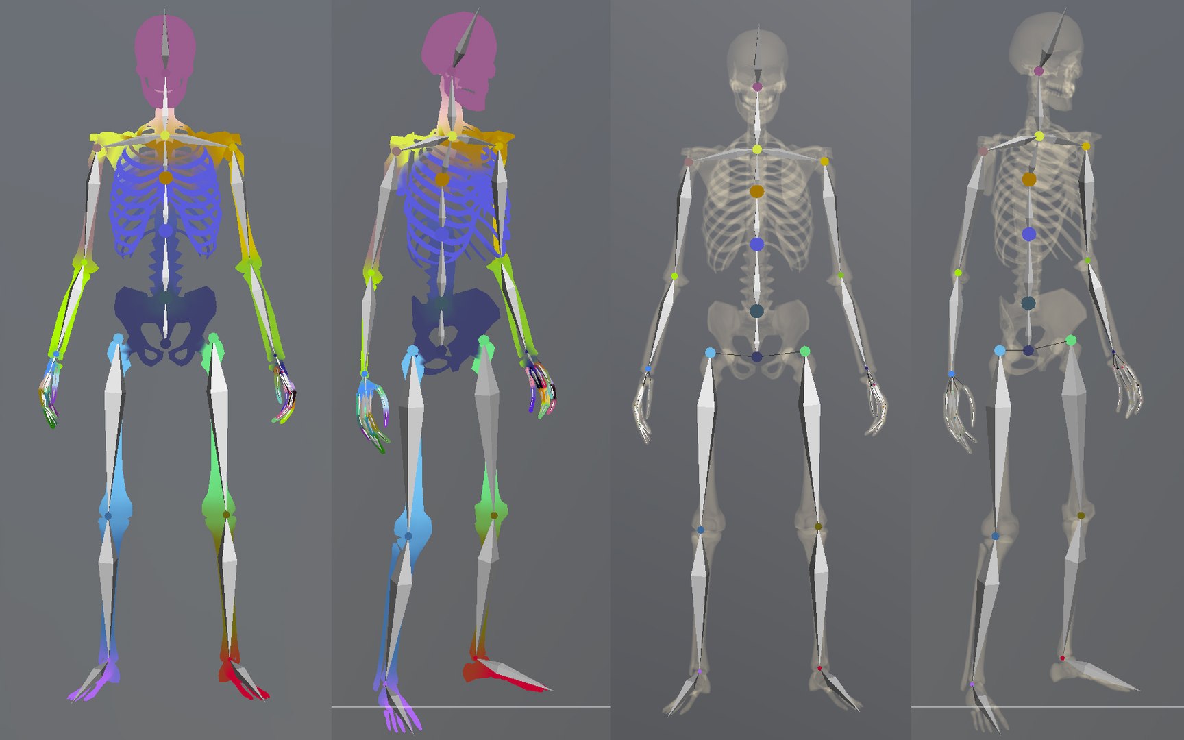 3D Lowpoly Human Skeleton Rigged model https://p.turbosquid.com/ts-thumb/pv/HtObTJ/RJ/pw5/jpg/1654430441/1920x1080/fit_q87/1ab7569fd8cd338e6df1f5f3ca9566bec5caaed5/pw5.jpg