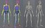 Lowpoly Human Skeleton Rigged