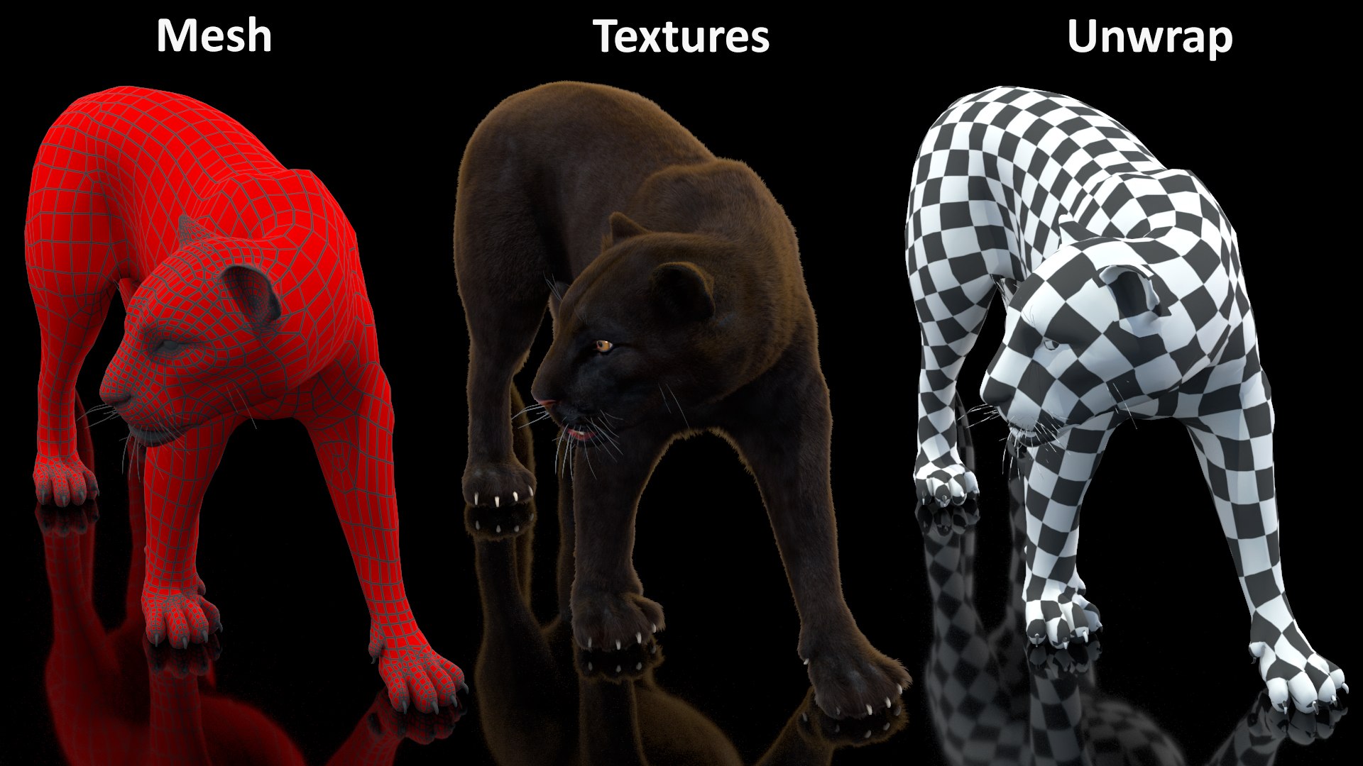 Black Panther Walking Pose Fur 3D - TurboSquid 2209634