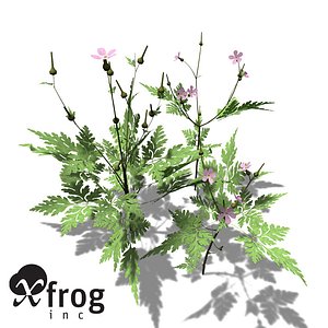 3d 3ds xfrogplants herb robert plant